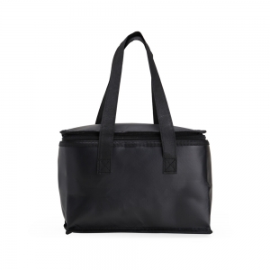 2399 - Bolsa Térmica 10 Litros